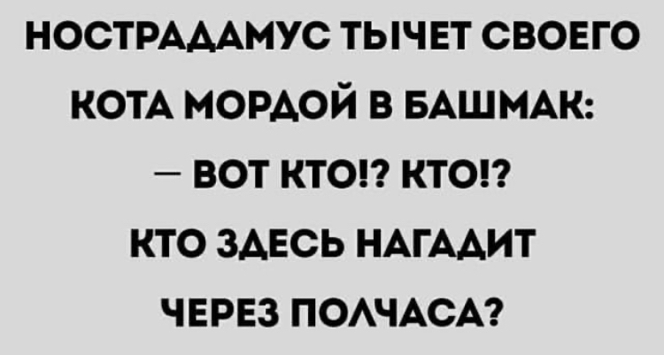 Фильм на вечер «Особое мнение» 2002г - Особое мнение, Нострадамус, Кот, Тег для красоты