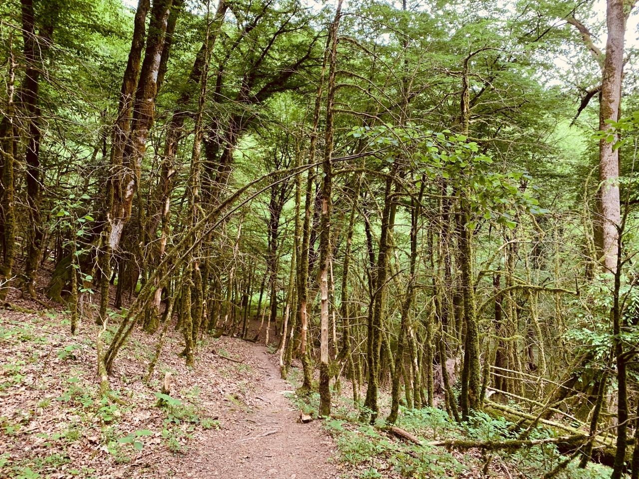 Walk to the Upper Azhek waterfall - My, Hiking, Sochi, Waterfall, Nature, Longpost