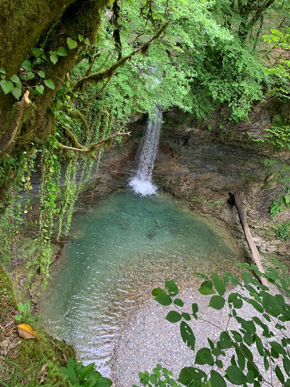 Walk to the Upper Azhek waterfall - My, Hiking, Sochi, Waterfall, Nature, Longpost