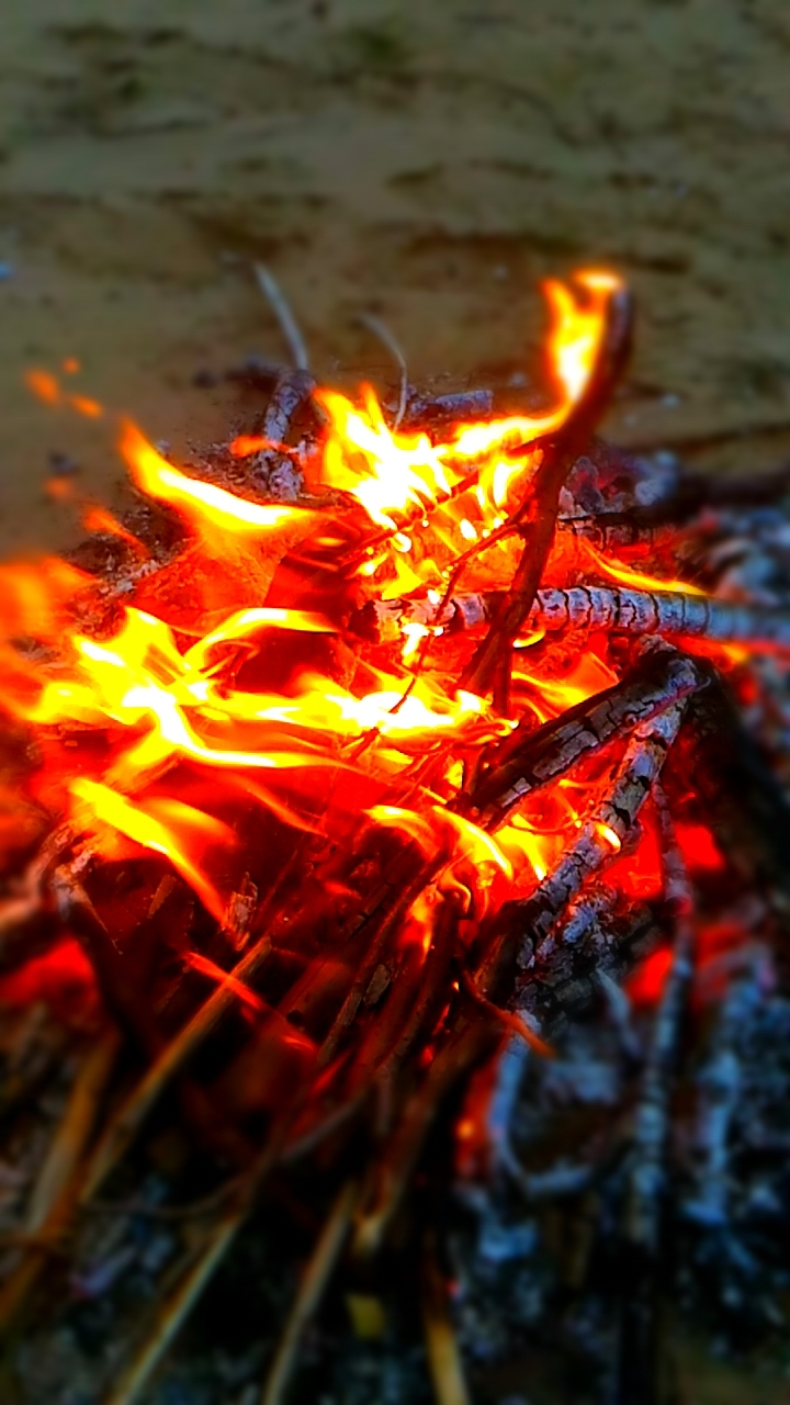 A little nature and fire - My, Arctic, Summer, Khatanga, Longpost