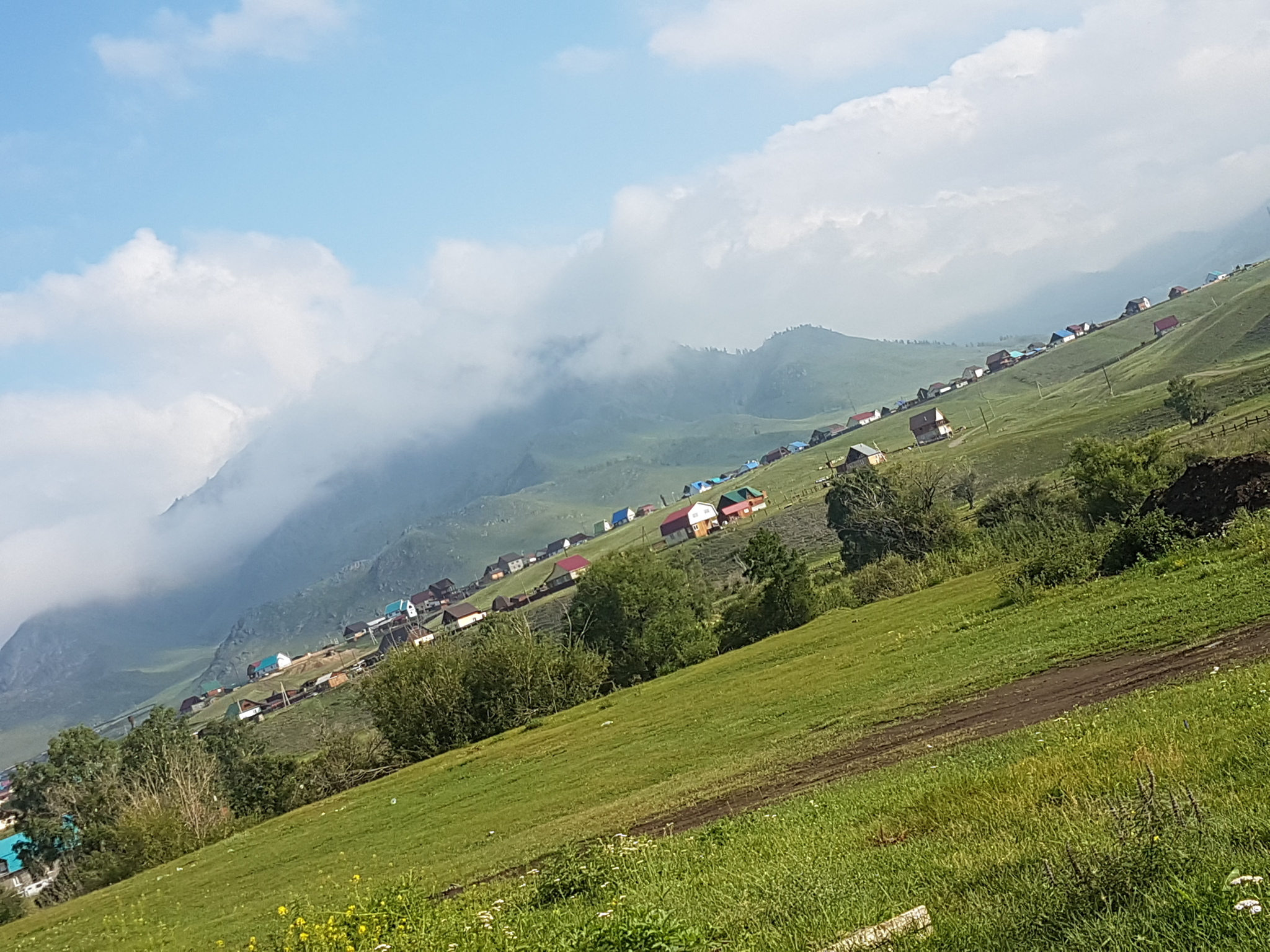 Поездка на Алтай - Моё, Республика Алтай, Командировка, Длиннопост