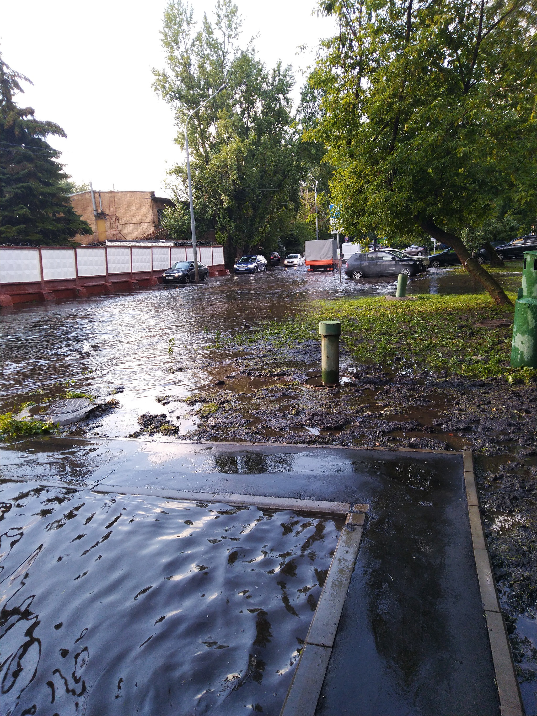 Москва потерянные номерные знаки | Пикабу