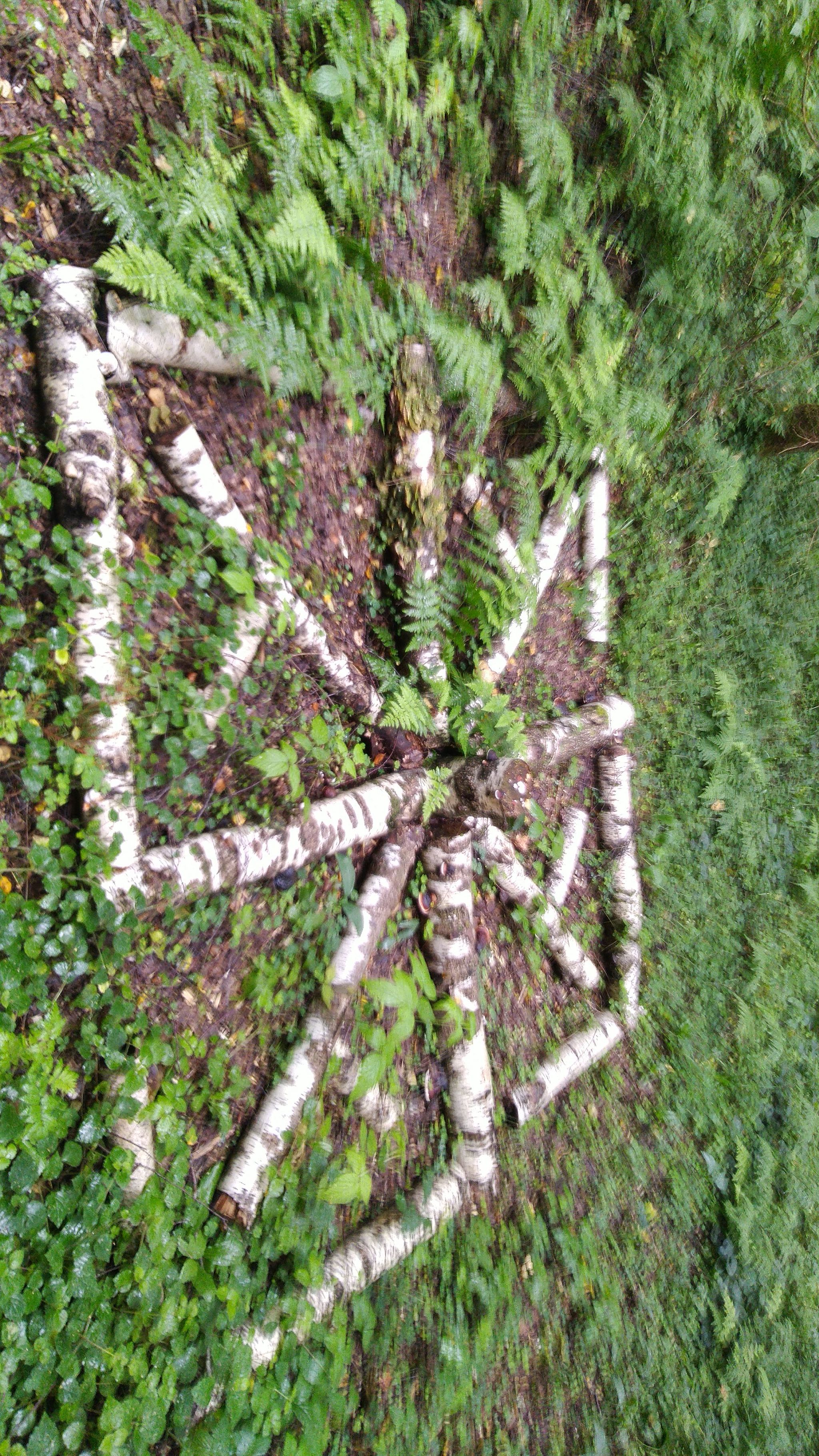 Found in the forest - My, Runes, Forest, Longpost