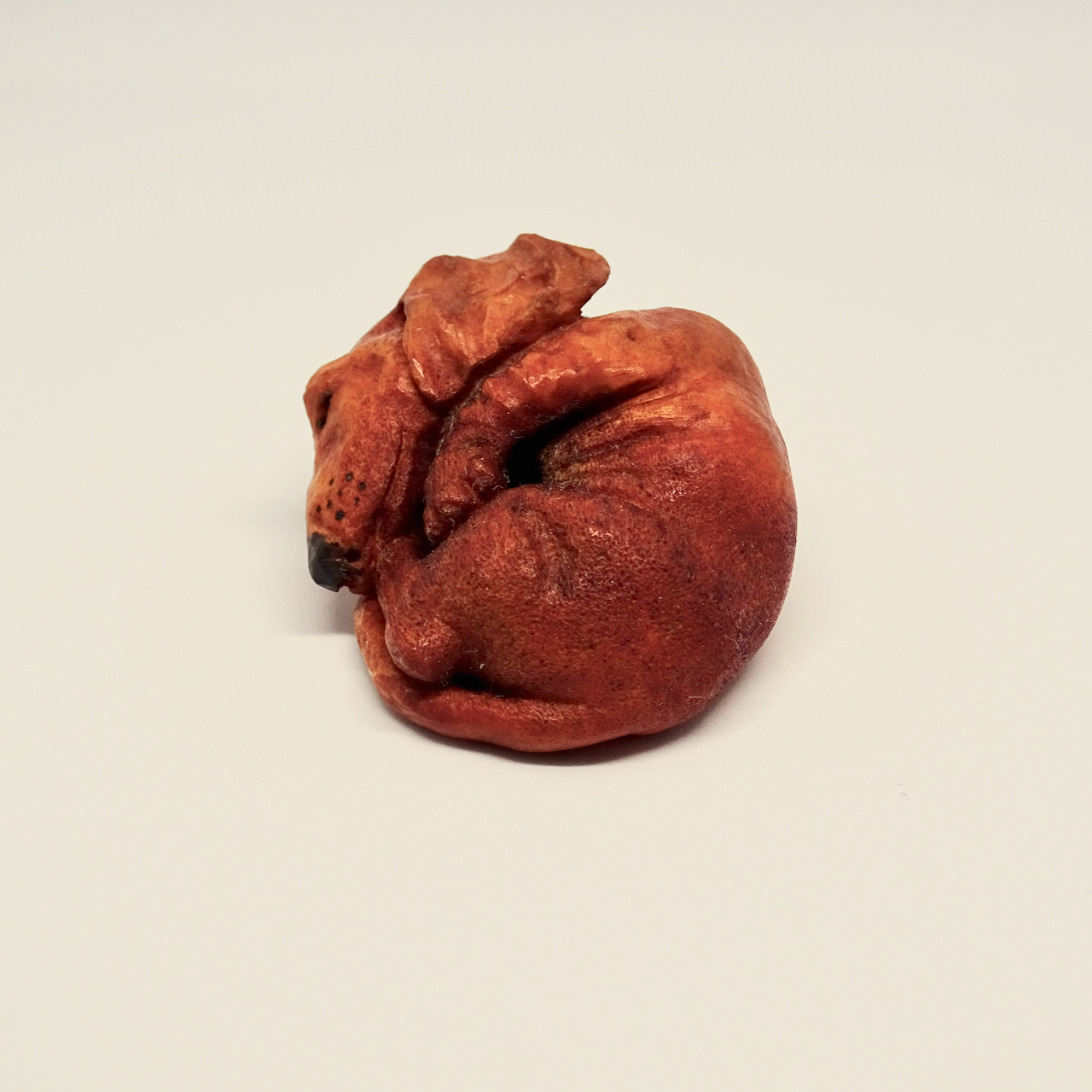 Netsuke #42 Dachshund - My, Netsuke, Bone carving, Thread, Miniature, Needlework without process, Longpost