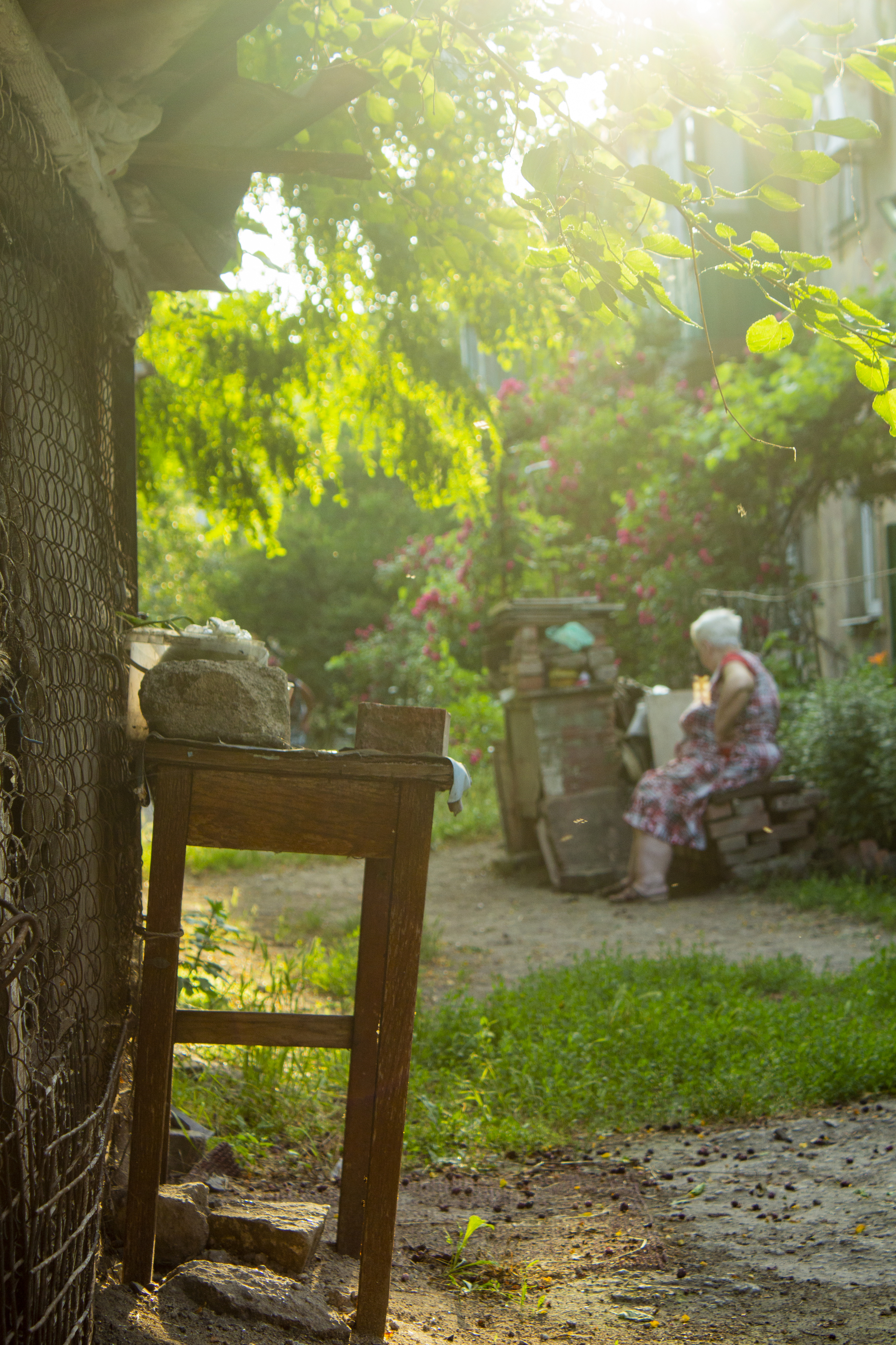 Green summer - My, The photo, Green, Canon 650d, 18-55 kit, 18-55mm, Canon, Photoshop, Raw