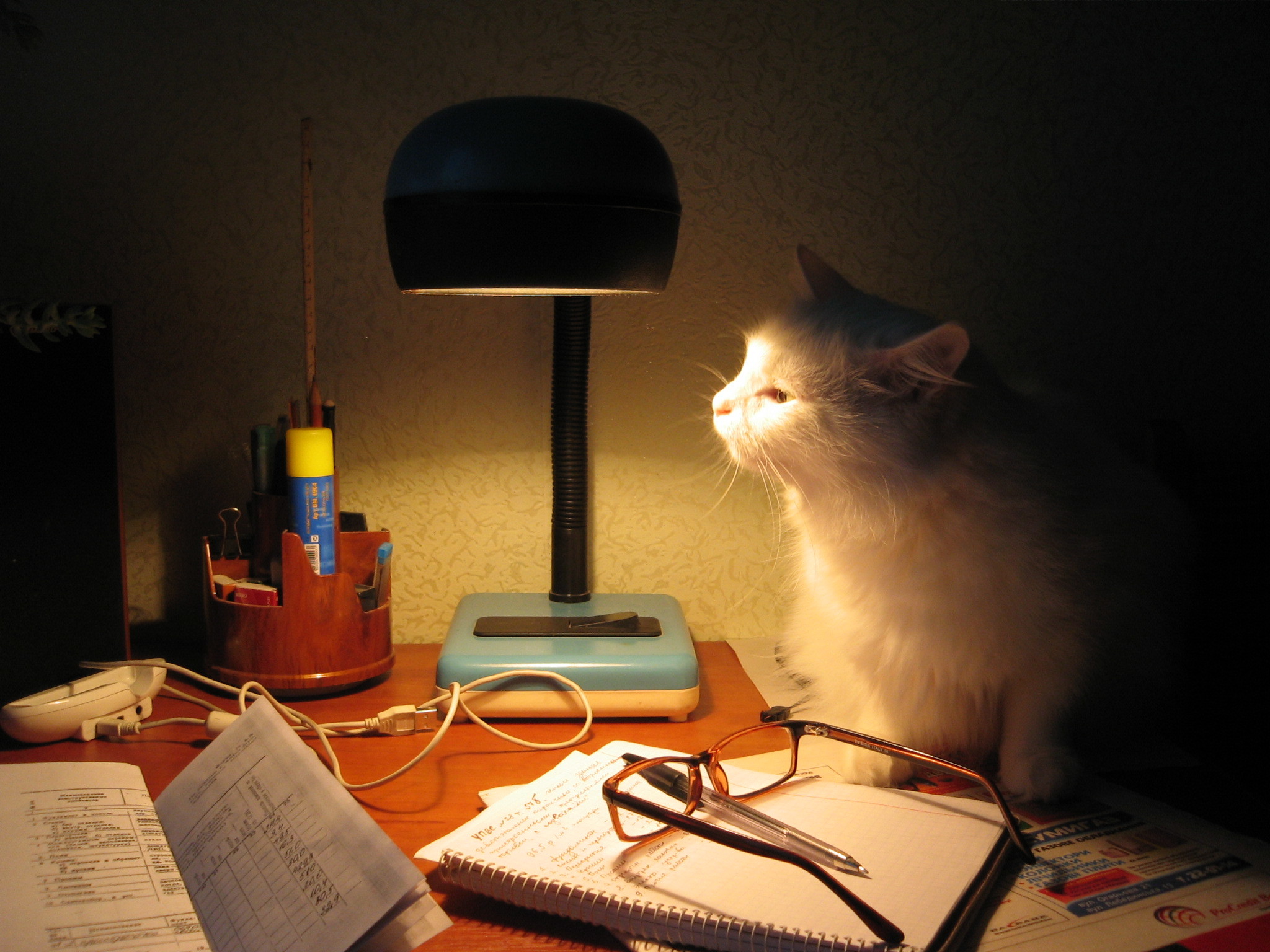 Котик с лампой
