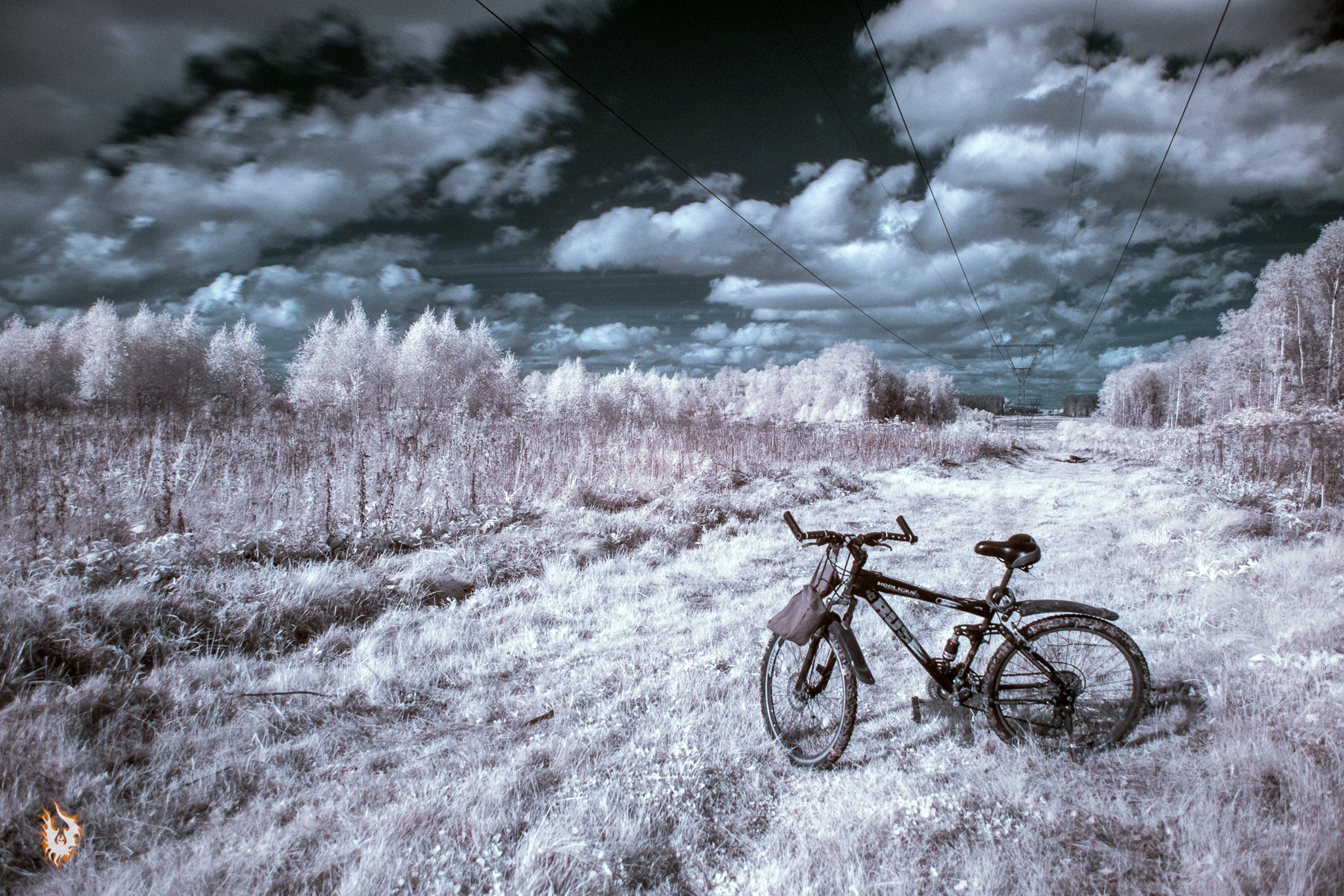 Tests in IR photography - My, Infrared shooting, Nikon, Landscape, Longpost