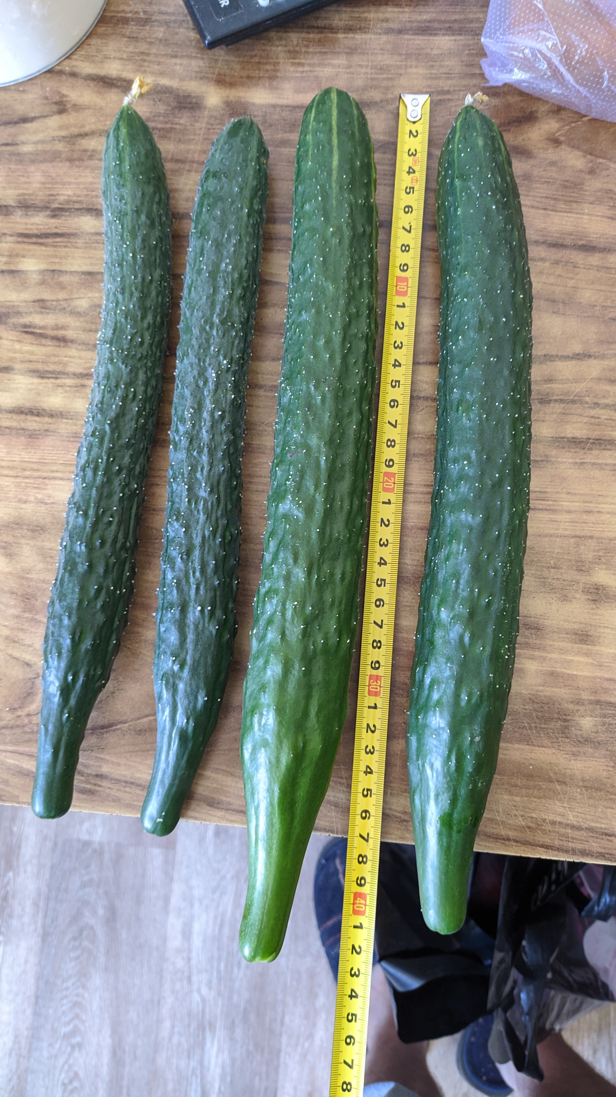 Erotic cucumbers - My, Harvest, Humor