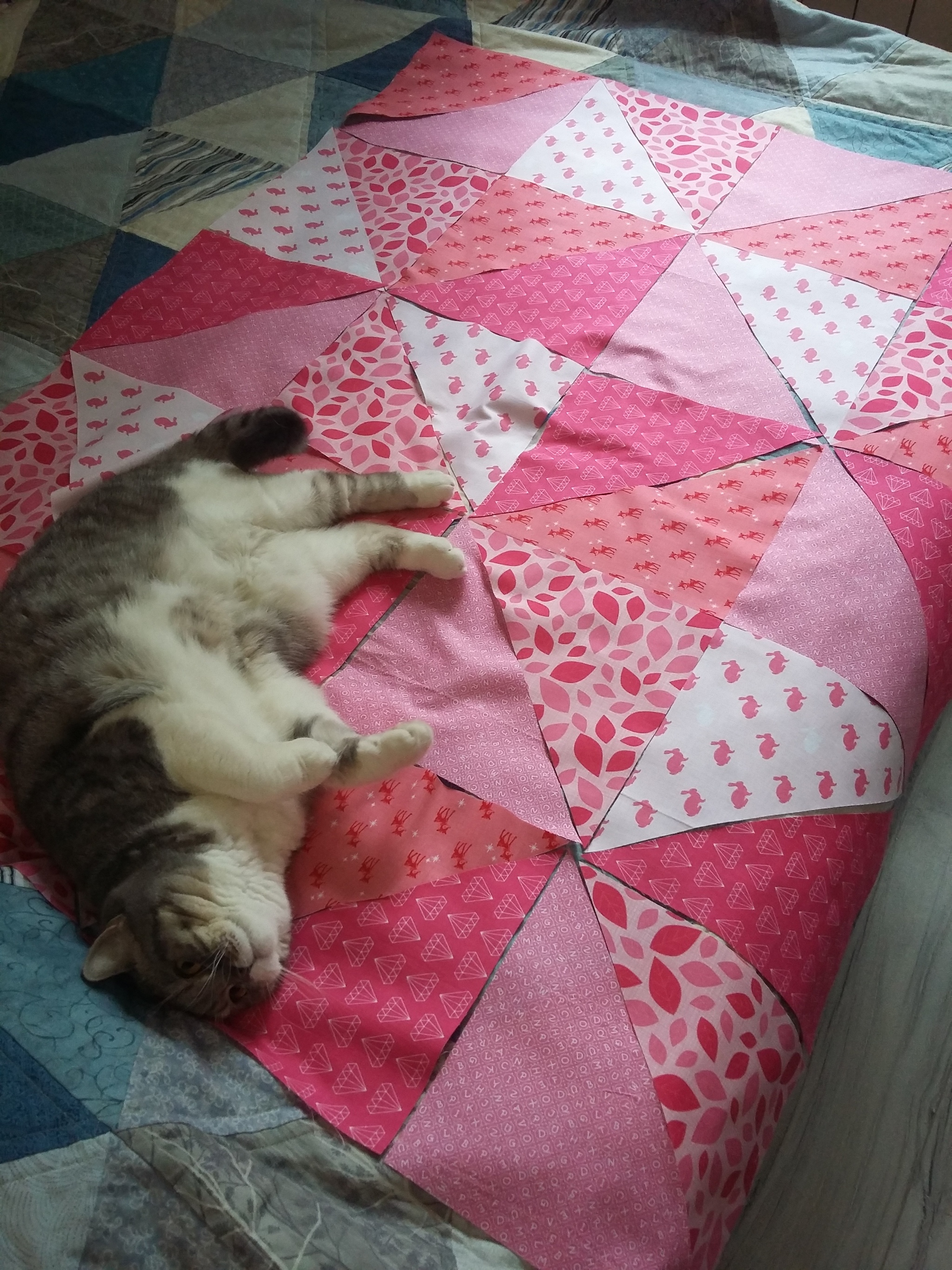 Patchwork quilt for baby - My, cat, Patchwork, Sewing, A blanket, Needlework with process, Longpost