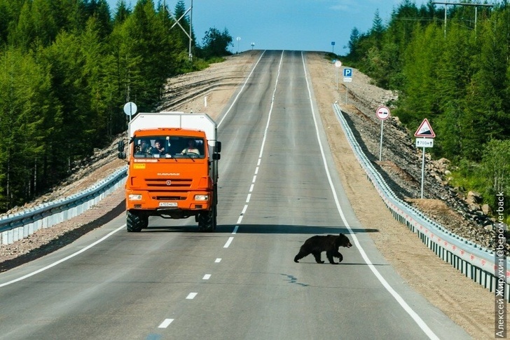 The dirtiest track in the world - Travel across Russia, Yakutia, Motorists, Track, Russian roads, Travels, Road, Lena, Longpost