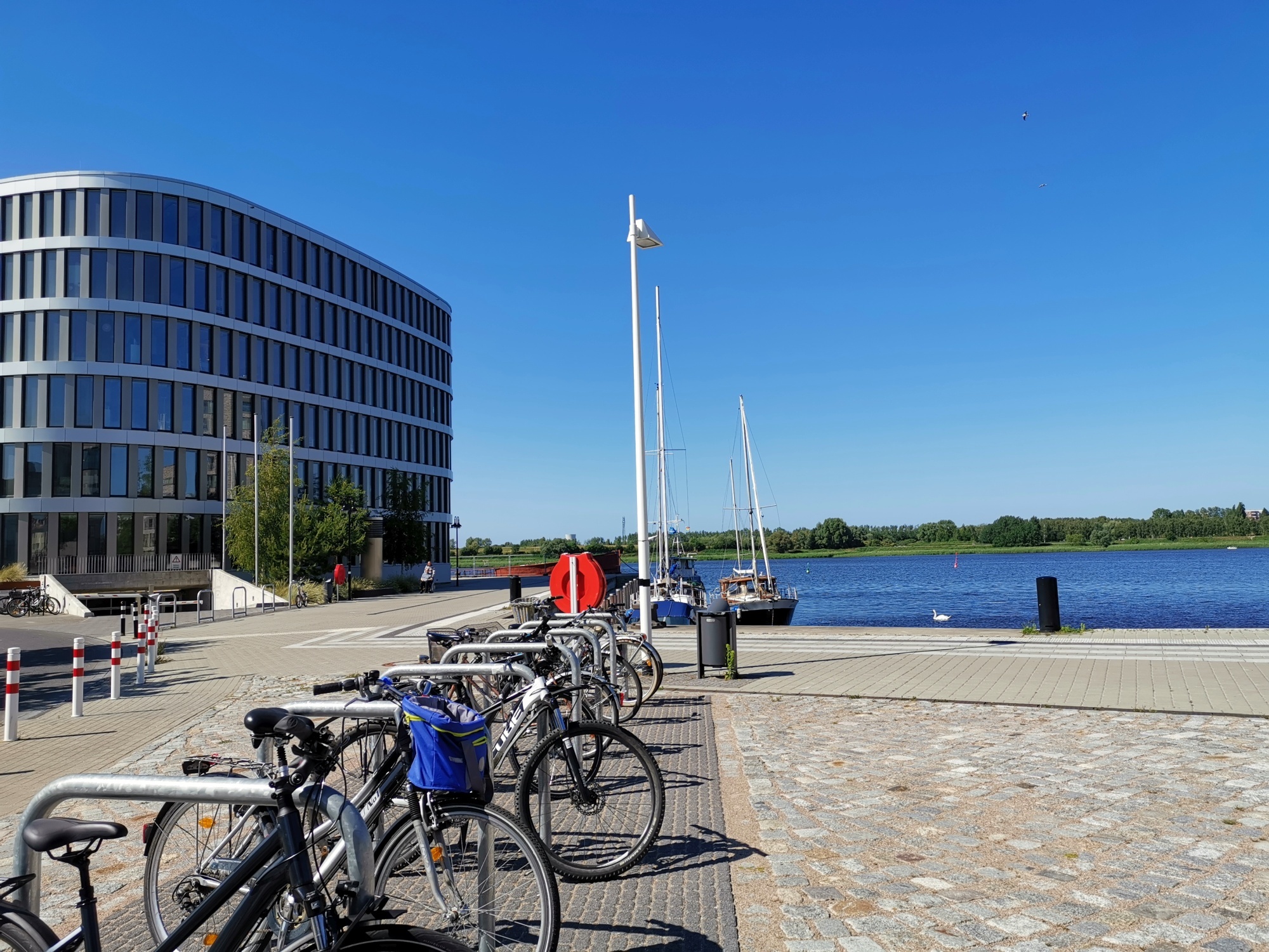 City of Rostock. Photos. June 2020 - My, Germany, Sprout, Town, The photo, GDR, Longpost