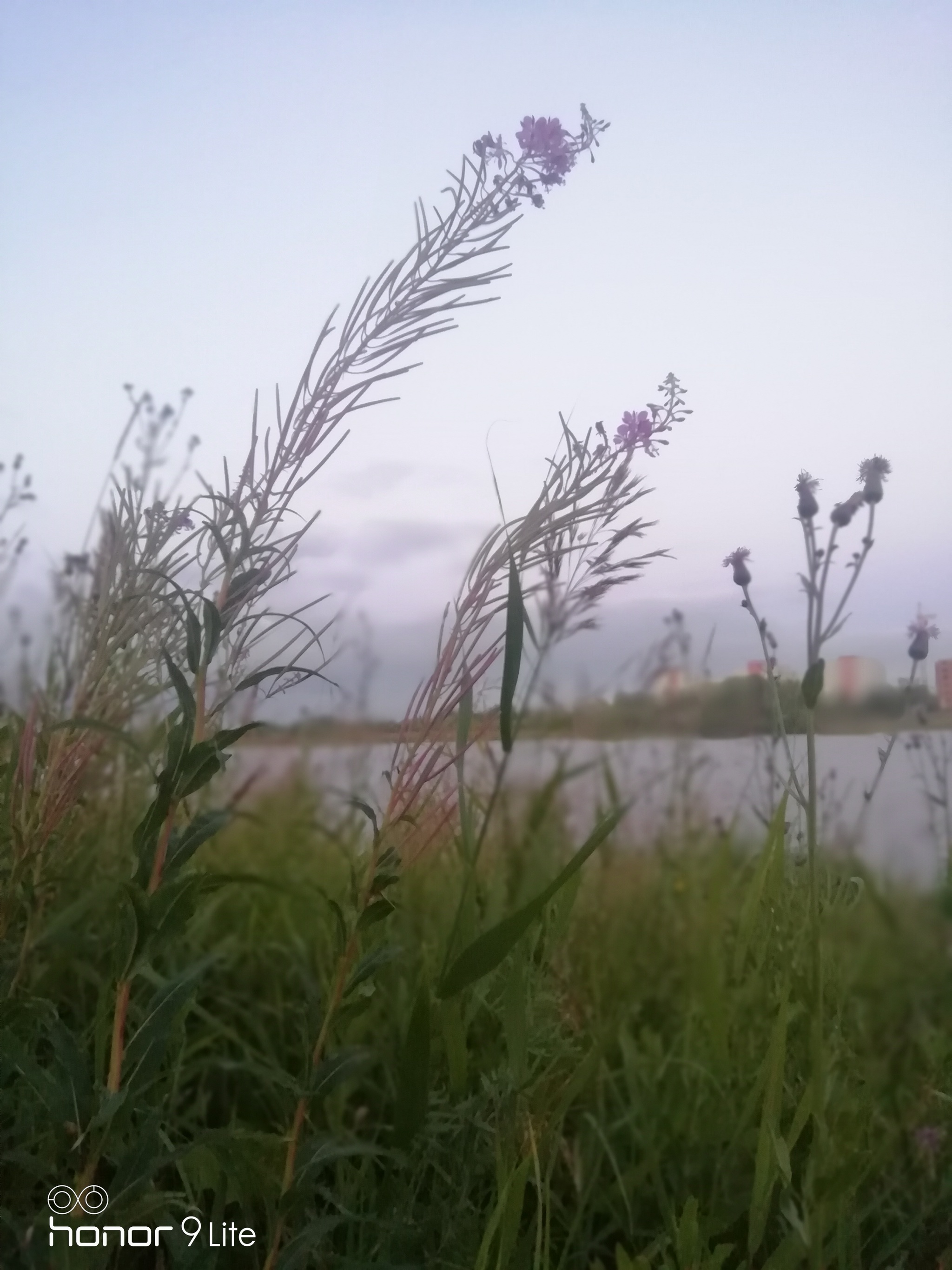 Severodvinsk last days of July - My, Sunset, Severodvinsk, Photo on sneaker, Longpost