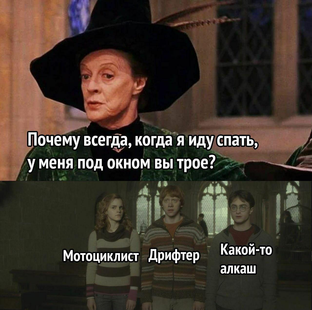 Disposable, sraker, a person of fine mental organization in search of truth - Harry Potter, Hermione, Ron Weasley, Minerva McGonagall