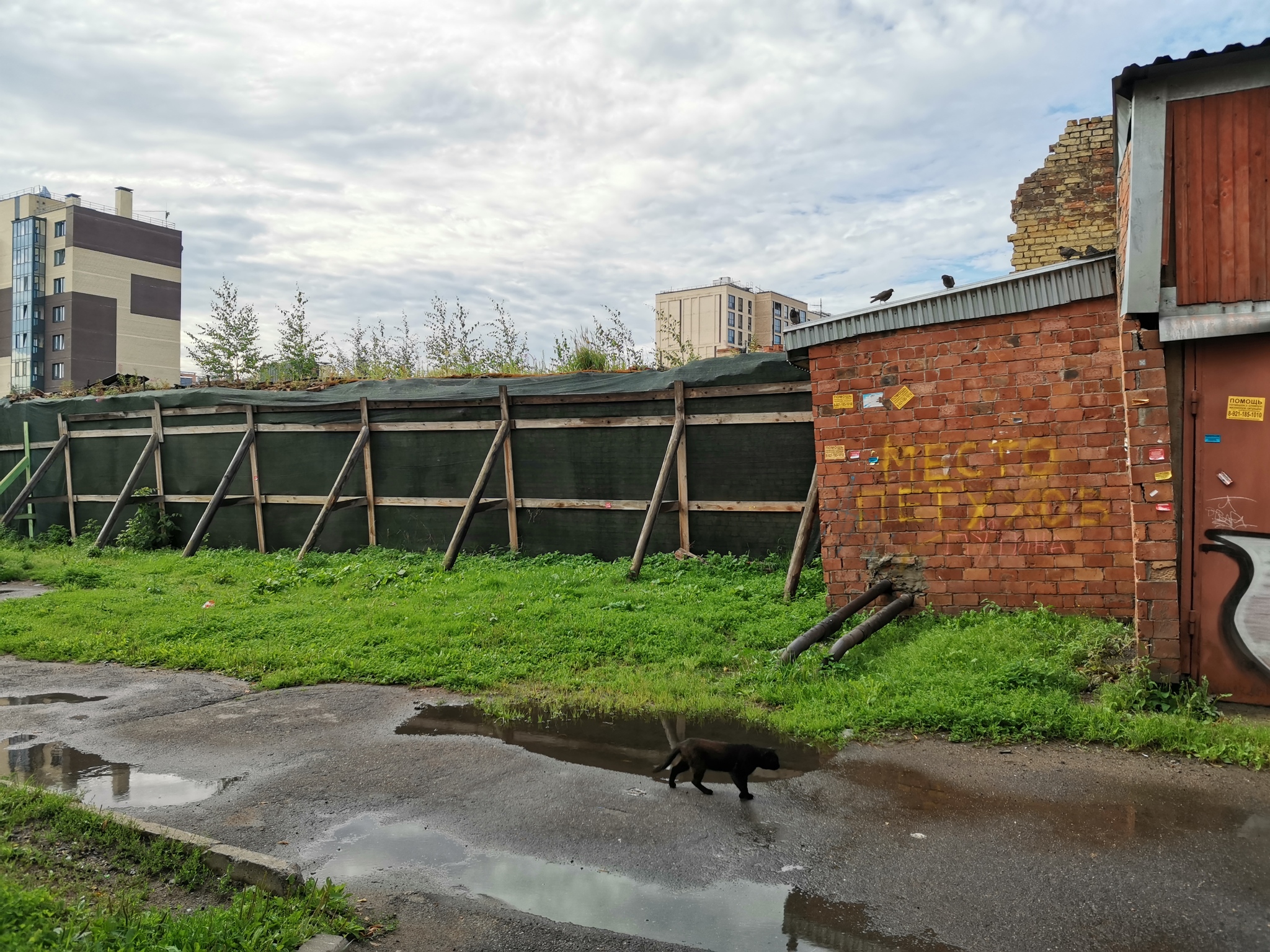 Фото дворов на лиговке - Моё, Лиговка, Длиннопост, Фотография, Гетто, Санкт-Петербург