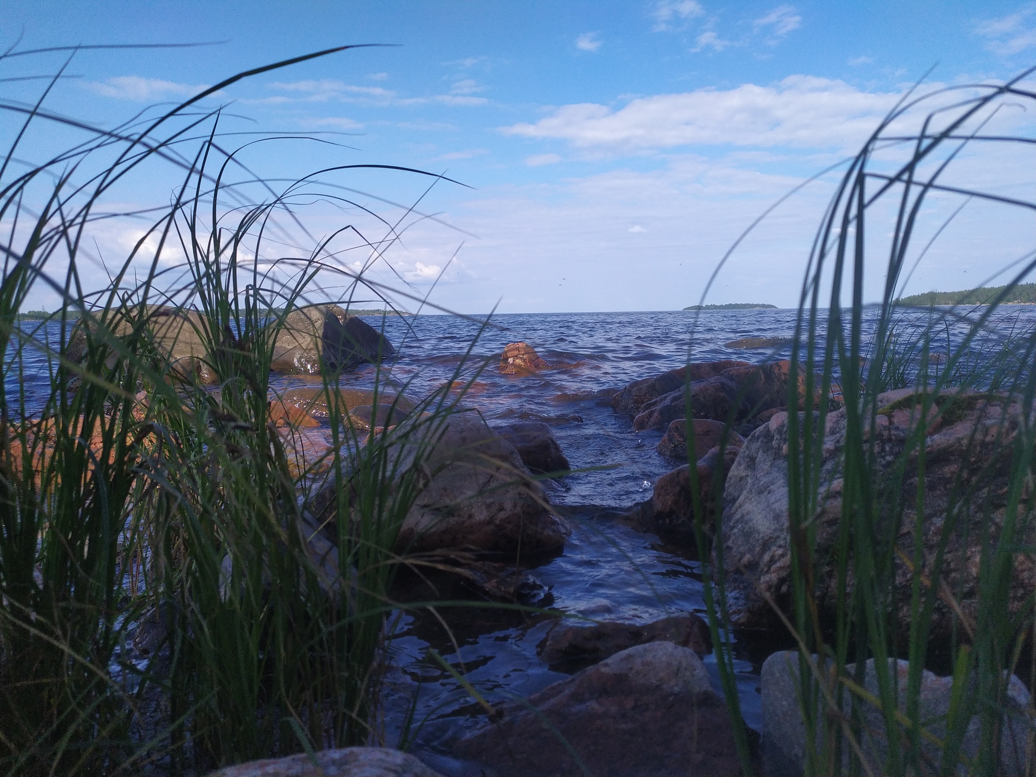 Nature of Lake Ladoga - My, Weekend, beauty of nature, Ladoga lake, Mobile photography, Nature, Longpost