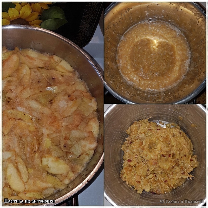 Pastila from Antonovka - My, Food, Recipe, Pastila, Dehydrator, Antonovka, Longpost, Cooking