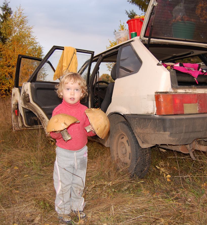 Modest results of a quiet hunt - My, Mushrooms, The photo, Boletus, Children, Silent hunt