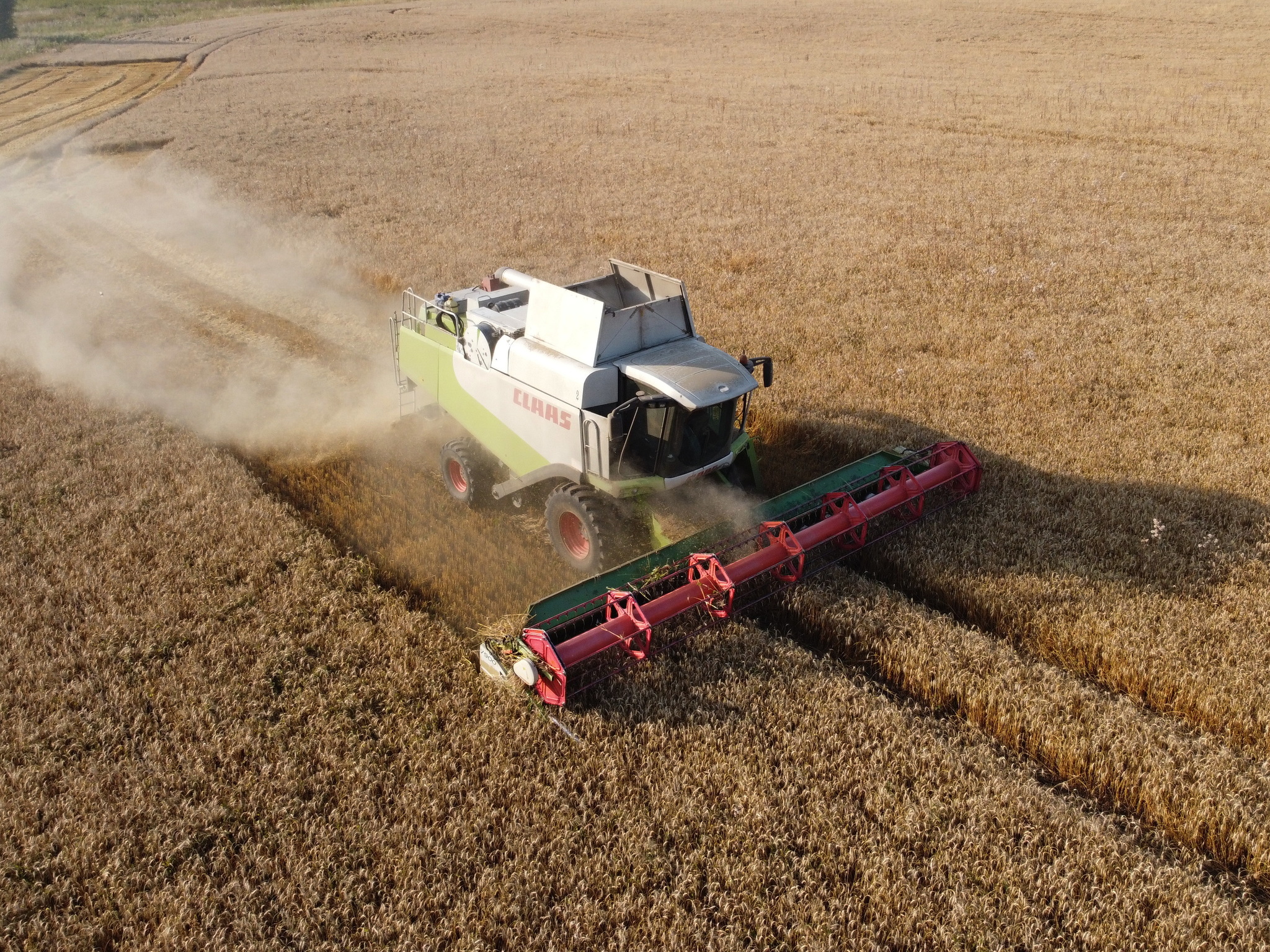 Harvesting or spontaneous rides on the combine - My, Combine harvester, Harvest, The photo, DJI Mavic, Longpost