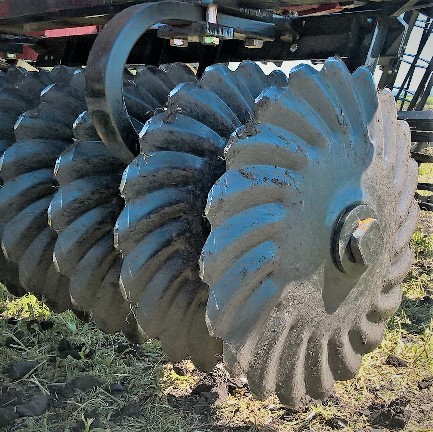 #AgroTechnics360: TT335 Barracuda disc harrow from CASEIH! - My, Agroscout360, Agricultural machinery, Harrow, Caseih, Сельское хозяйство, Video, Longpost