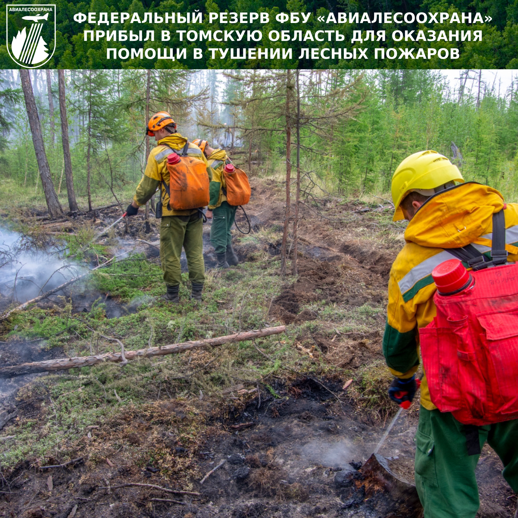 FEDERAL RESERVE FBU AVIALESOOKHRANA ARRIVED IN THE TOMSK REGION TO PROVIDE ASSISTANCE IN FIGHTING FOREST FIRES - My, Forest, Tomsk region, Tomsk, Avialesokhrana, Russia, news, Important