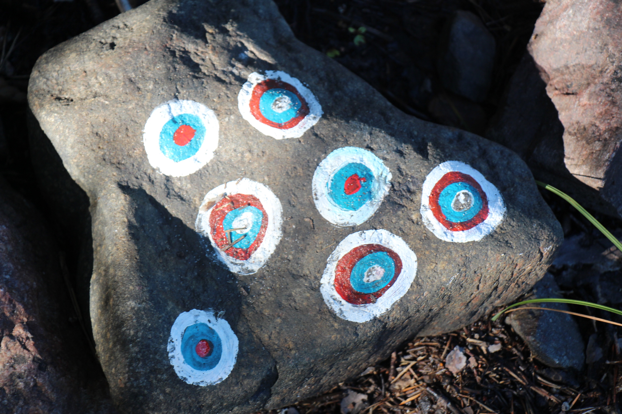 Drawings on stones - My, Drawing, Stone painting, Ladoga, Longpost