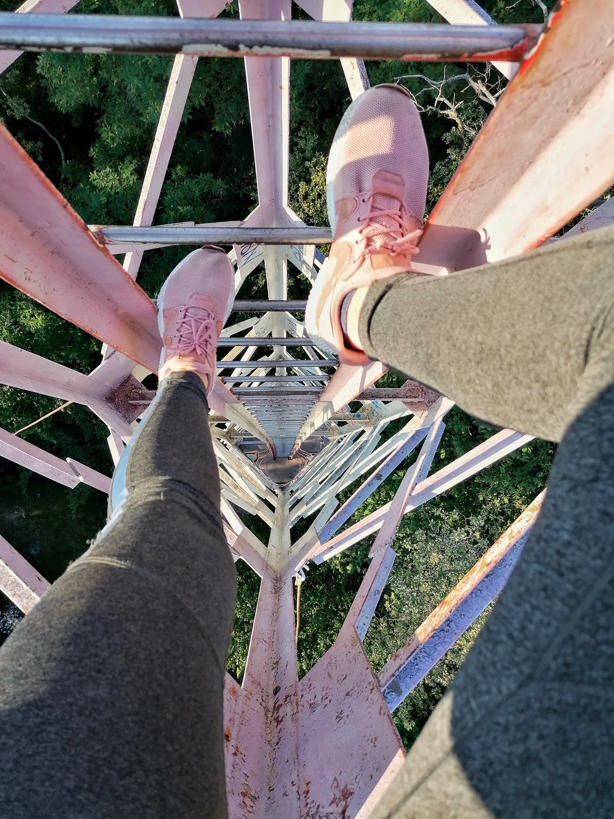 I remembered my childhood. Climbed onto the tower - My, Forest, A bike, Height, Watchtower, Longpost