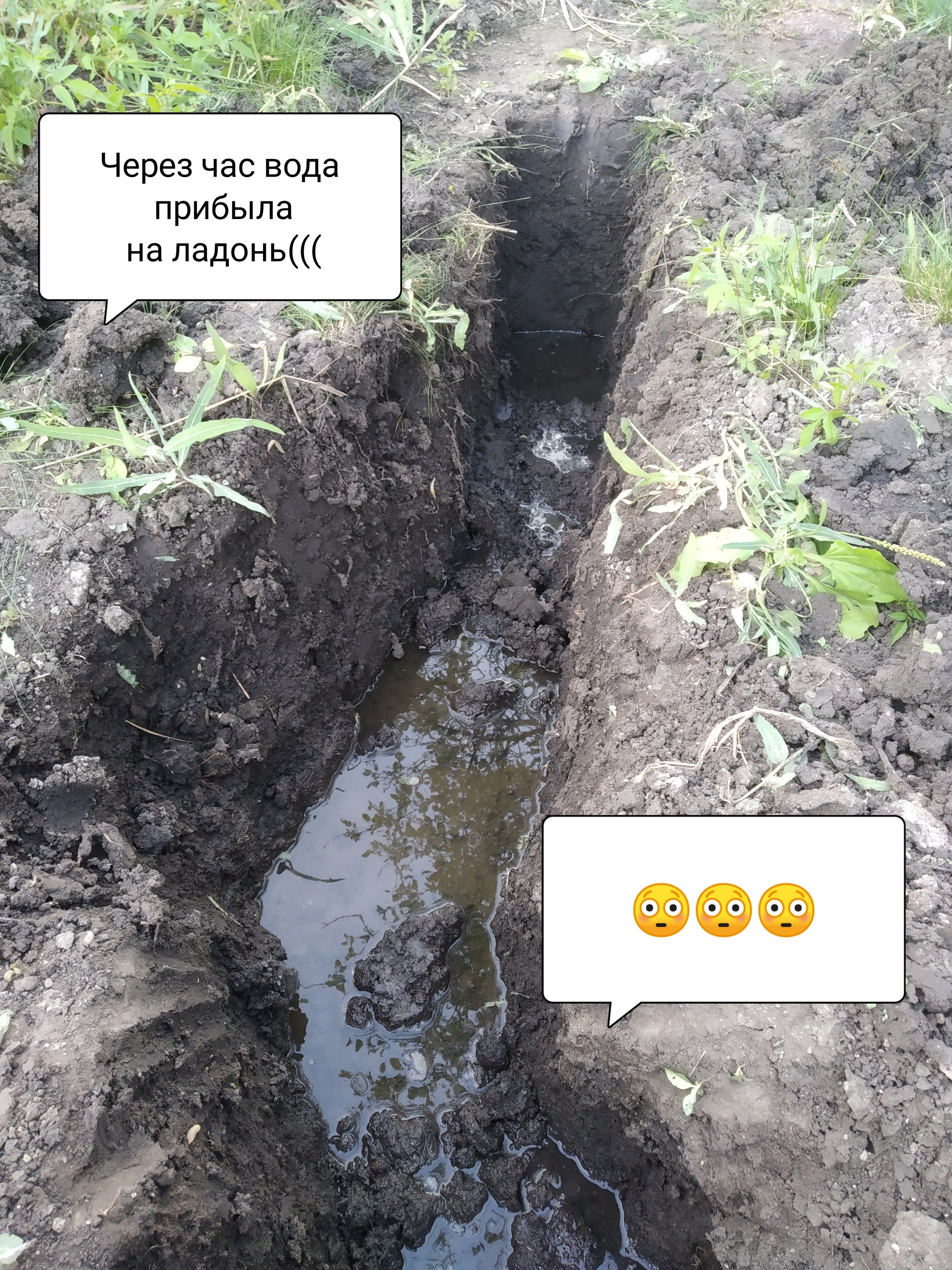 Diary of a Loser - My, Dacha, Drain, Drainage, Longpost