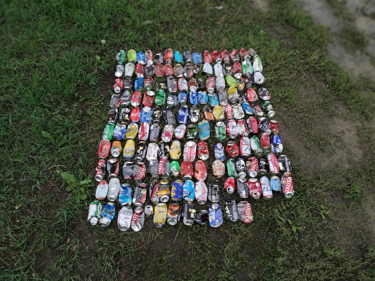 How much can you earn by collecting aluminum cans? - My, Chistoman, Pure Man's League, Separate garbage collection, Saturday clean-up, Longpost, Recyclable materials