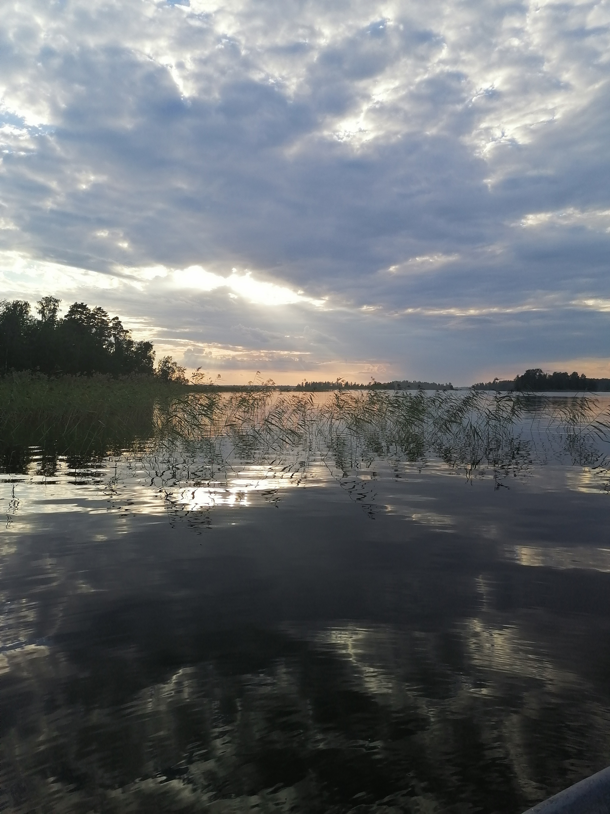 Lake Vuoksa - My, Leningrad region, Lake Vuoksi, Mushrooms, Longpost, The photo