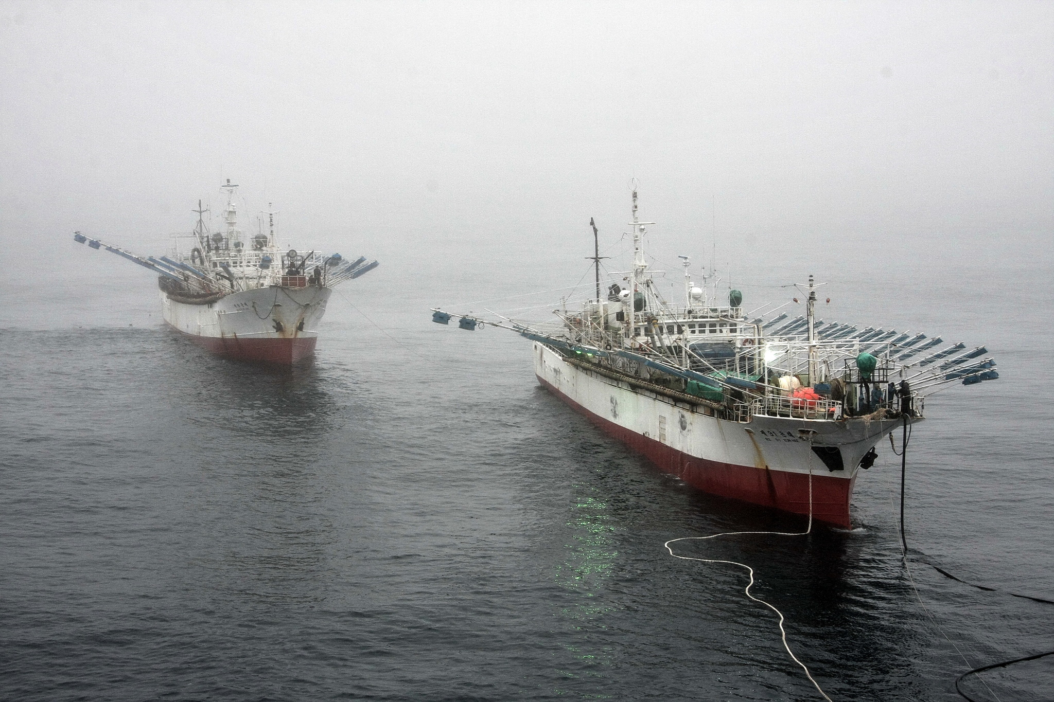 Sea locust - My, Tanker, Fishermen, Squid, Work at sea, The photo, Longpost