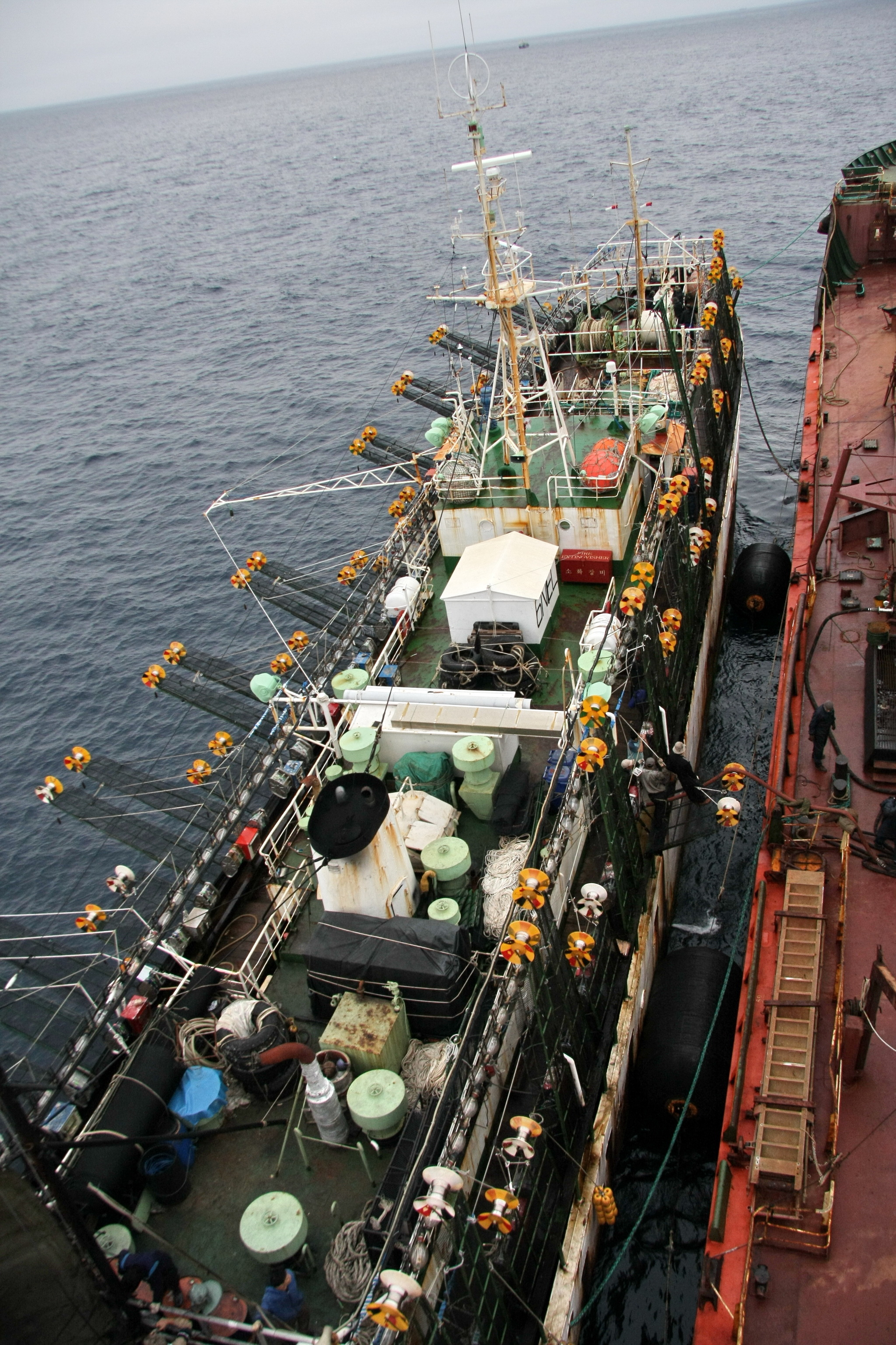 Sea locust - My, Tanker, Fishermen, Squid, Work at sea, The photo, Longpost