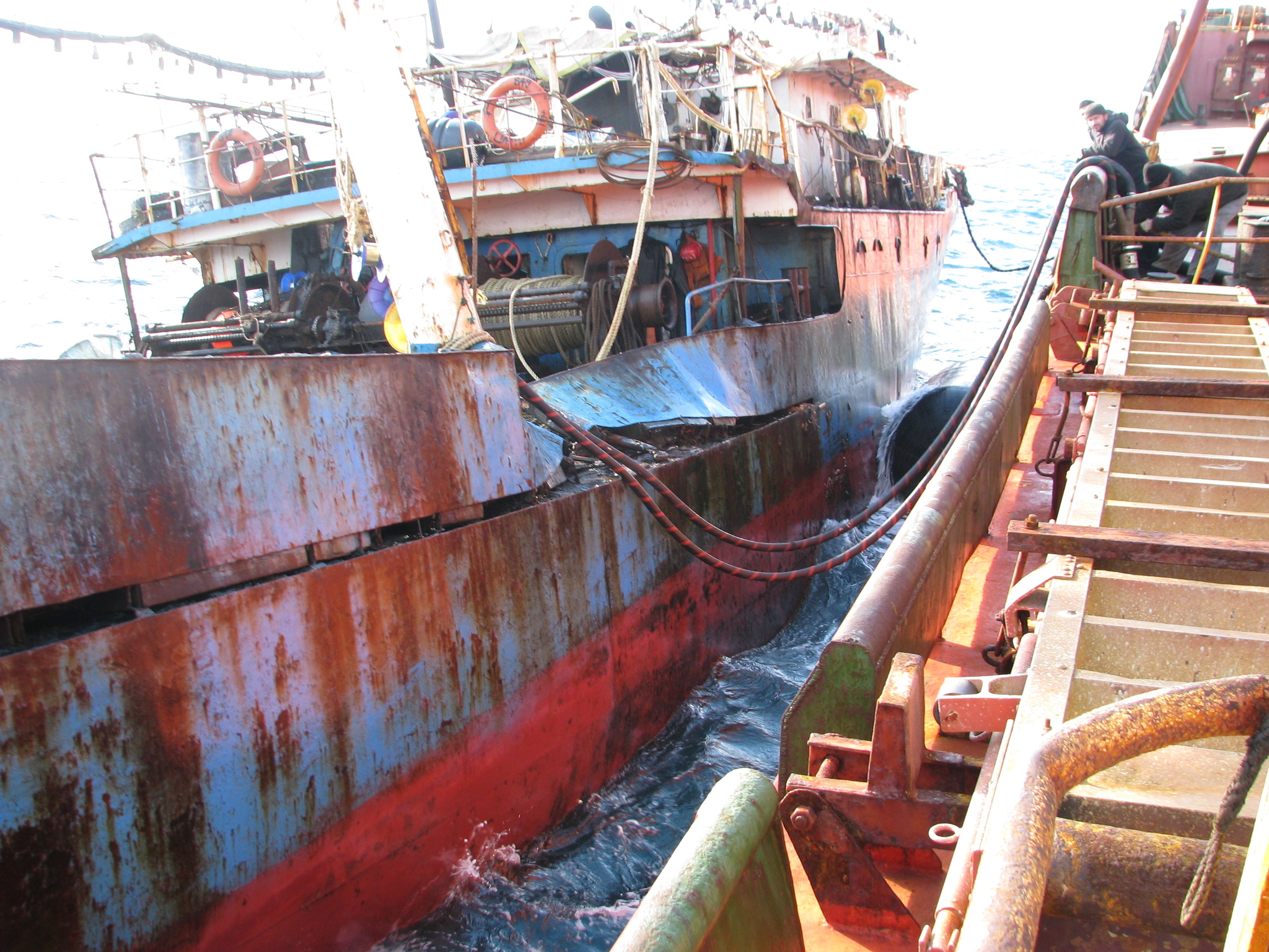 Sea locust. Continuation - My, Work at sea, Fishermen, Squid, Longpost, The photo