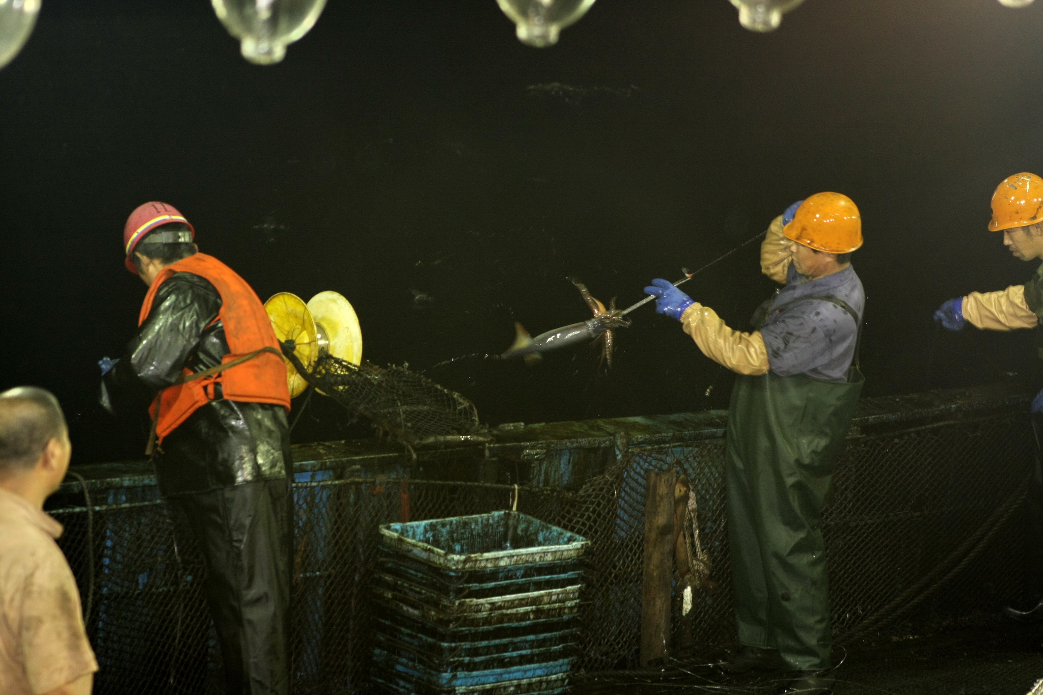 Sea locust. Continuation - My, Work at sea, Fishermen, Squid, Longpost, The photo