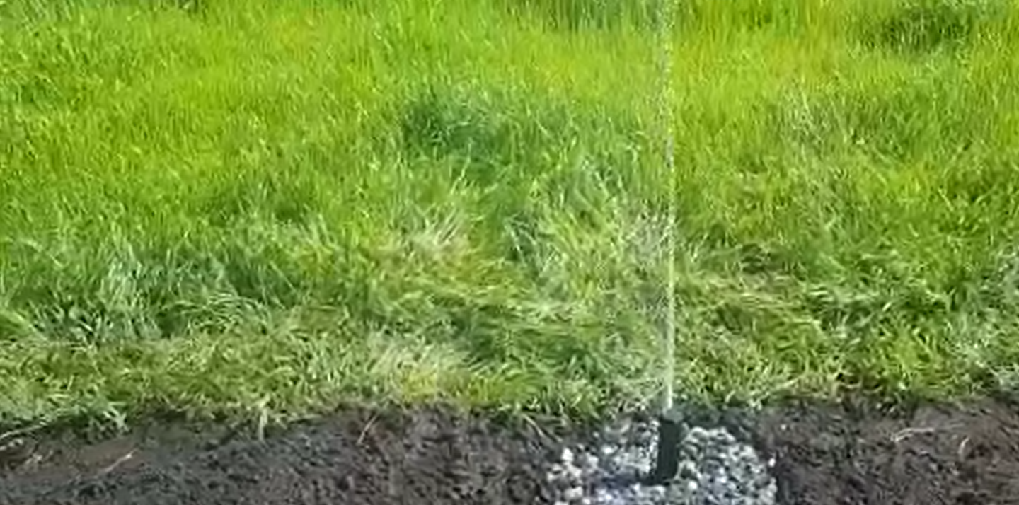 Development of a land plot from scratch. Lawn. Part 5 - My, Lawn, Dacha, Garden, Longpost