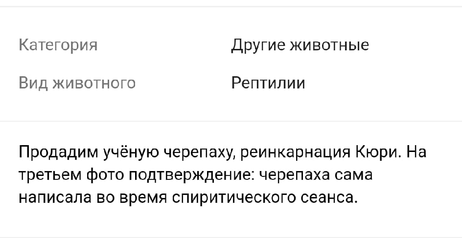 После смерти учёные попадают на Авито - Мария Кюри, Реинкарнация, Черепаха, Авито, Юмор, Длиннопост, Скриншот