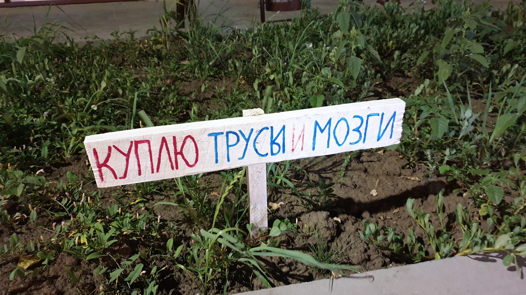 Odessa signs - My, Odessa, Longpost, Humor, Black Sea