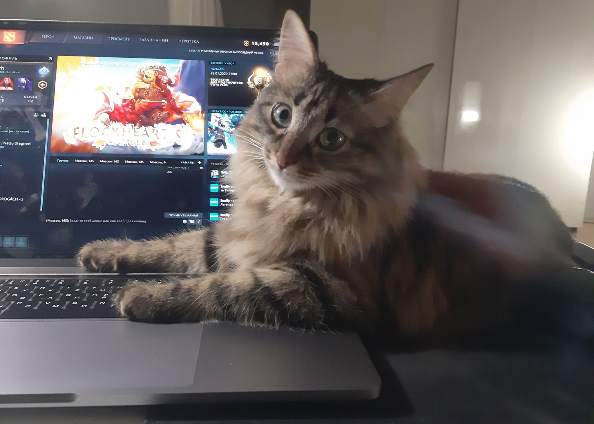 Хватит играть песня. Кот на компьютерном кресле. Мем хватит играть взрослых с котятами.