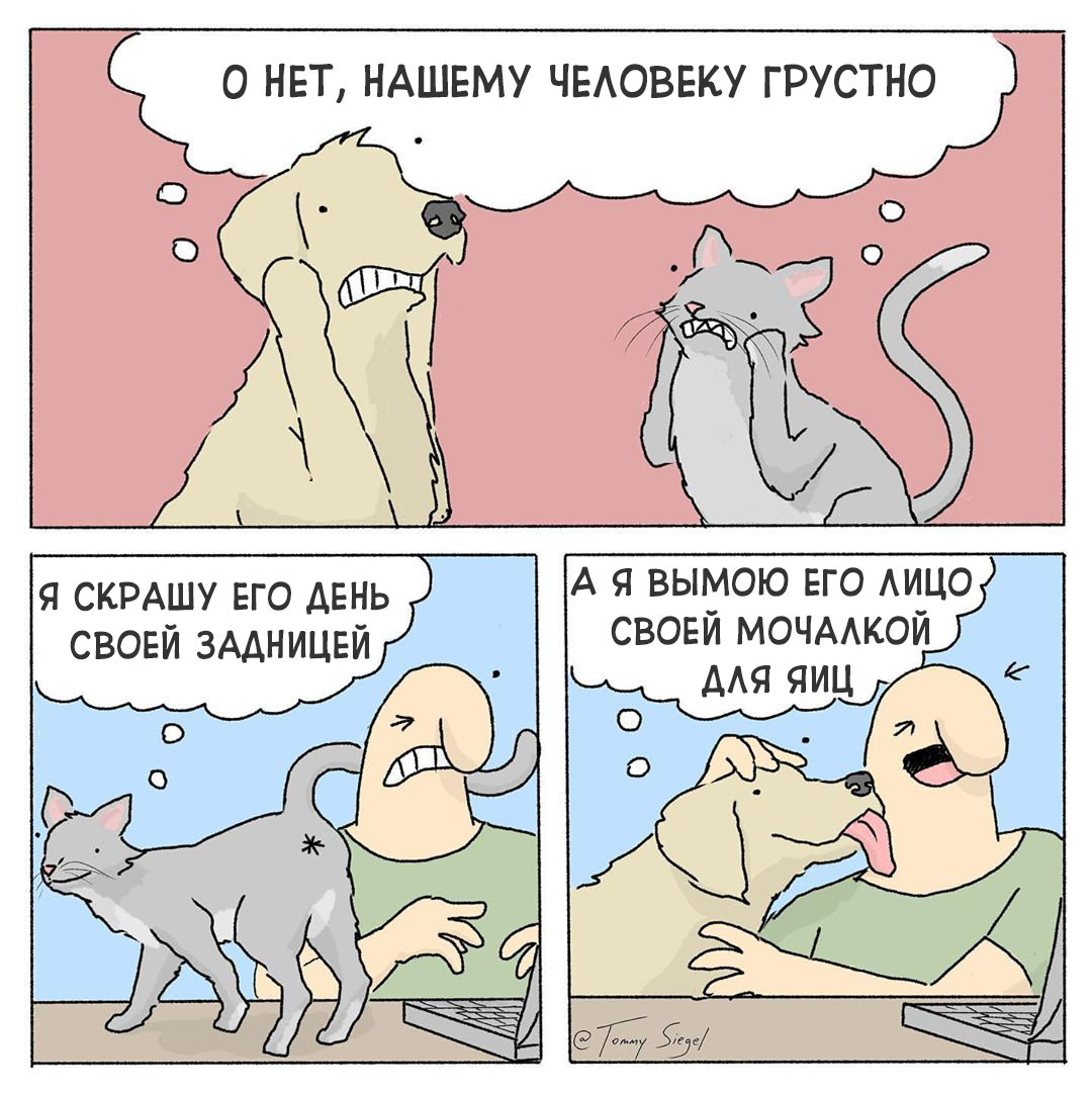 Exactly what is needed - Tommy siegel, Comics, cat, Dog, Pets