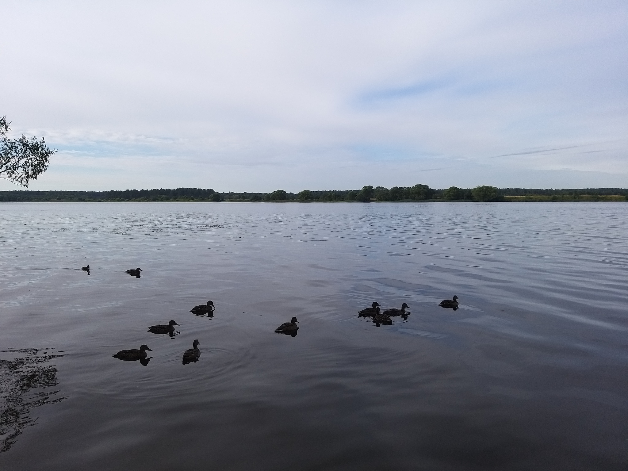 Fisherman's Saturday - My, Fishing, Nature, Weekend, Longpost