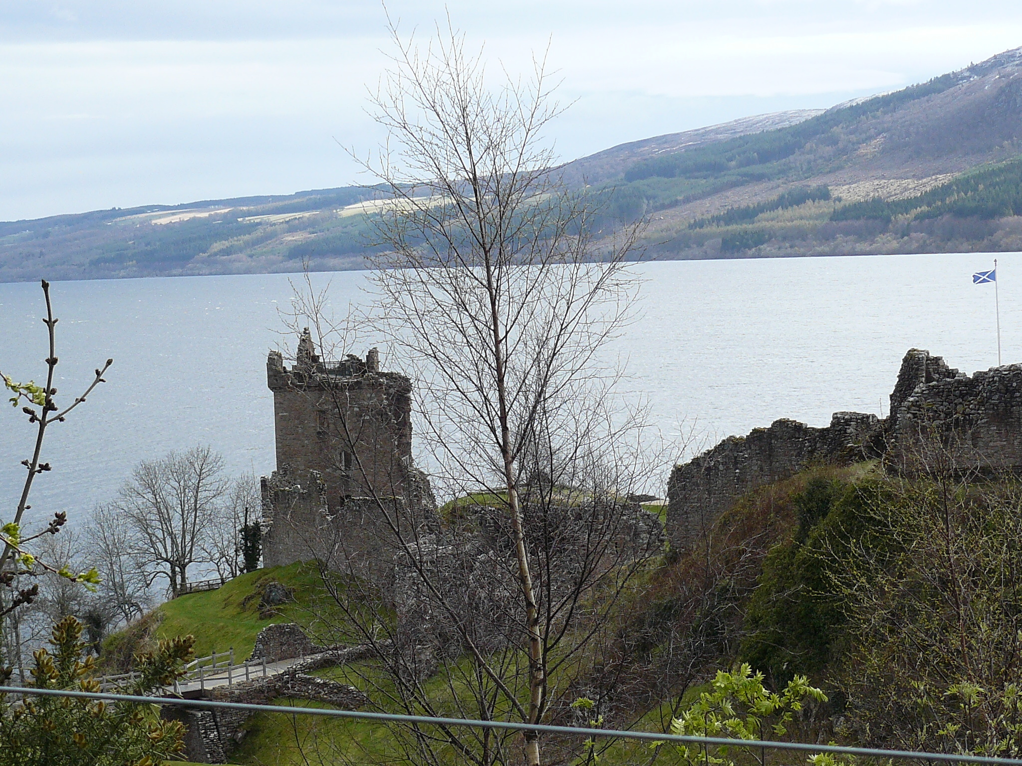 Nature of Scotland from the window of a tourist bus - My, Great Britain, Scotland, Nature, View, Travels, Longpost