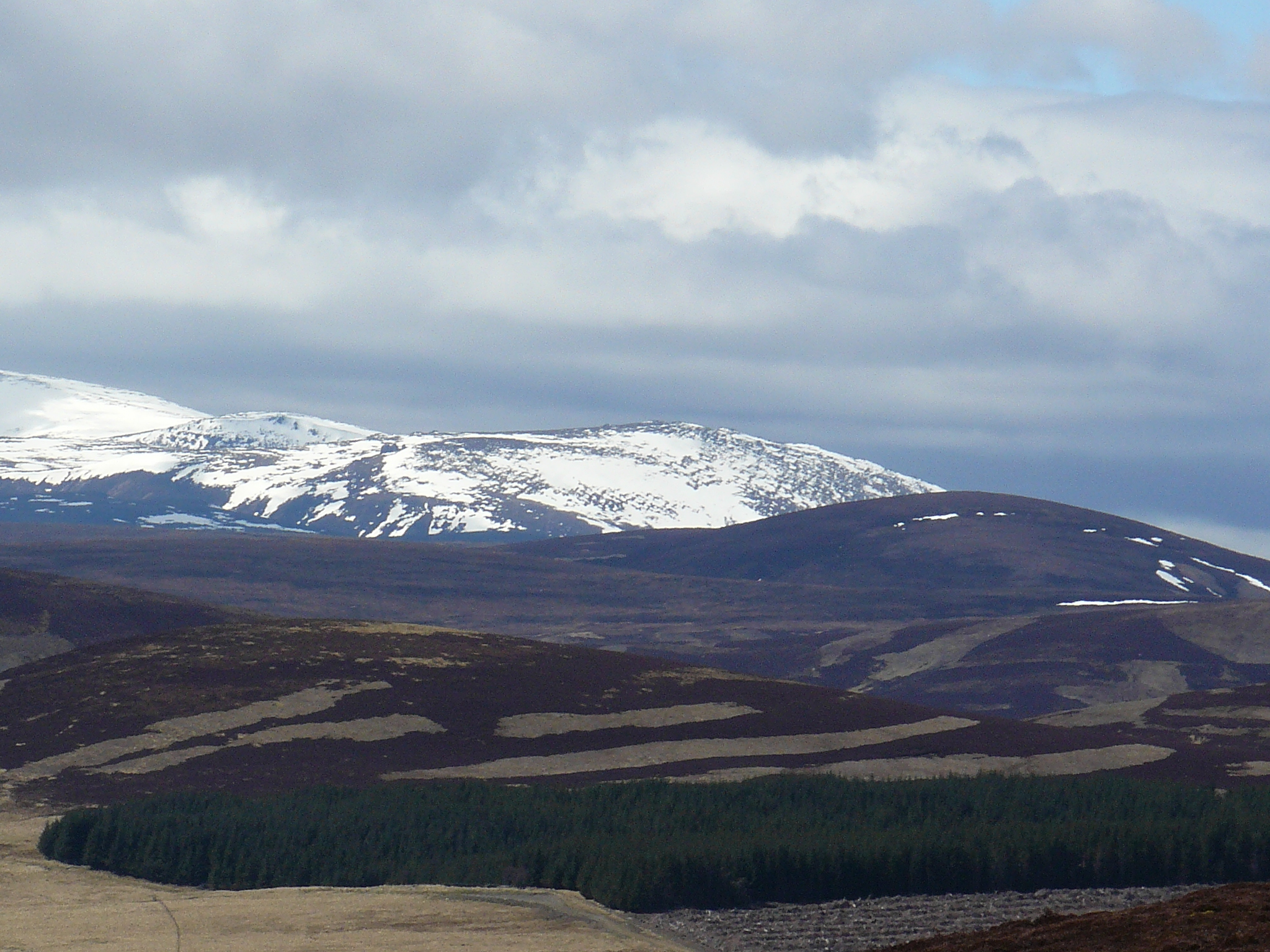 Nature of Scotland from the window of a tourist bus - My, Great Britain, Scotland, Nature, View, Travels, Longpost