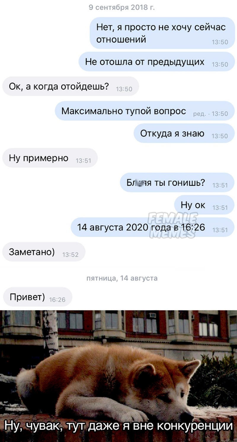 Ждун - Переписка, Юмор, Хатико, Ожидание, Отношения, Female Memes, Френдзона