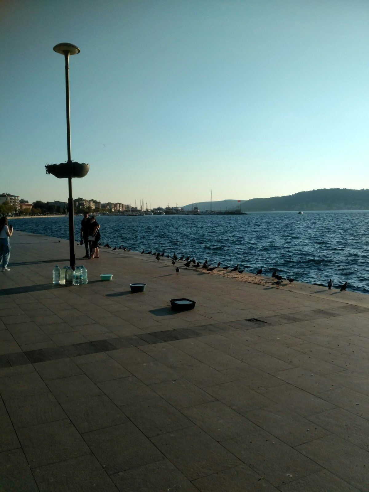 Turkiye - day six - My, Turkey, Wild tourism, Canakkale, Trojan horse, Longpost