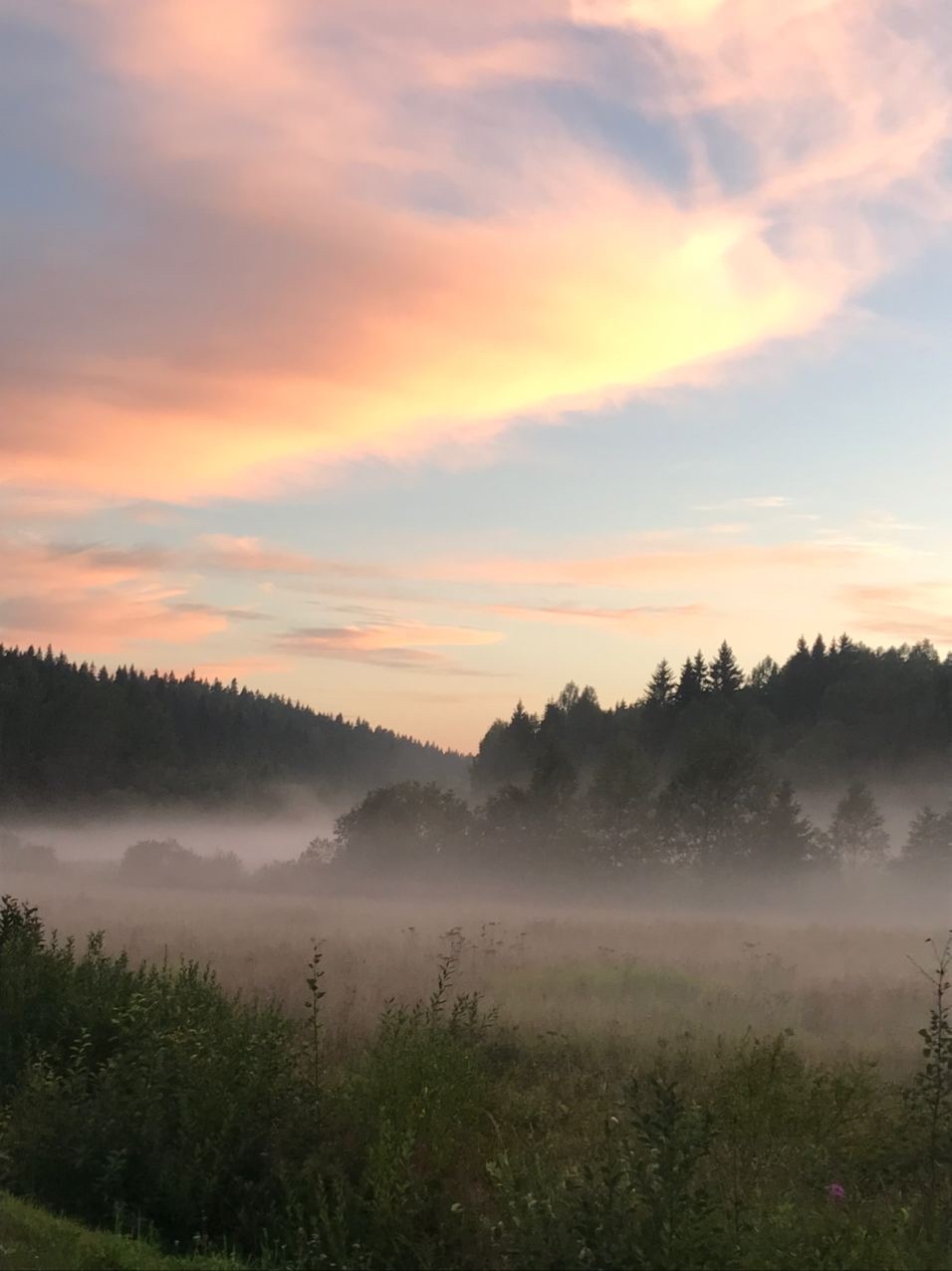 Magic Karelia - Карелия, Forest, Nature, beauty, Longpost