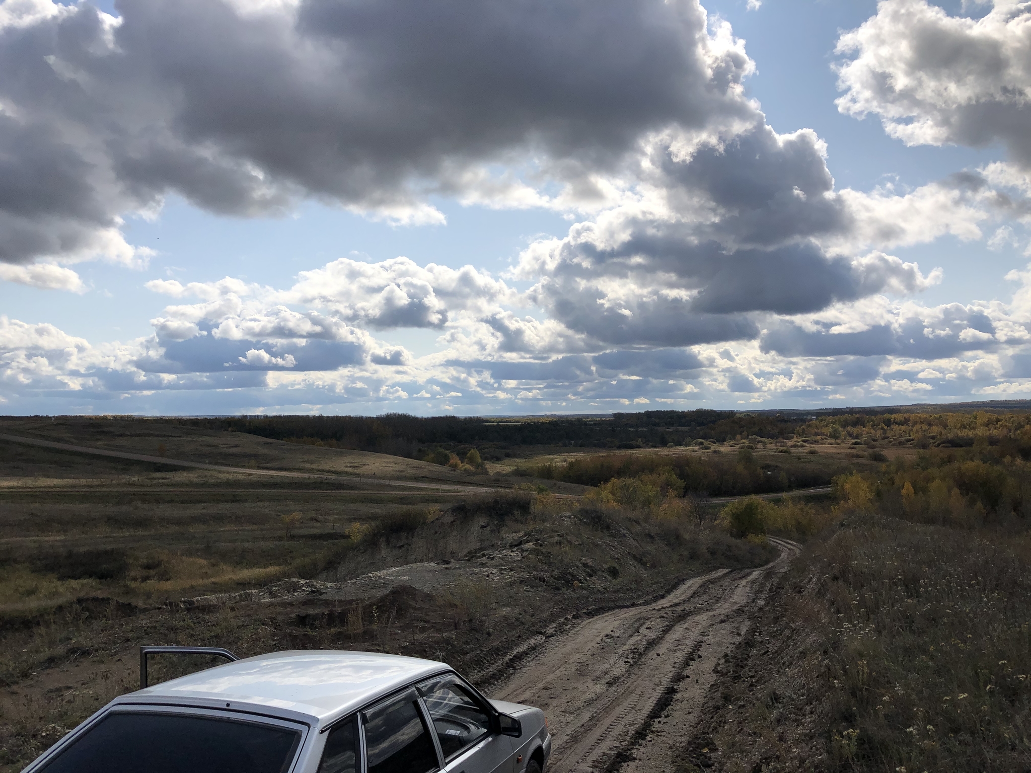 Ponomarevsk region - My, The photo, Road, Forest, Auto, Nature