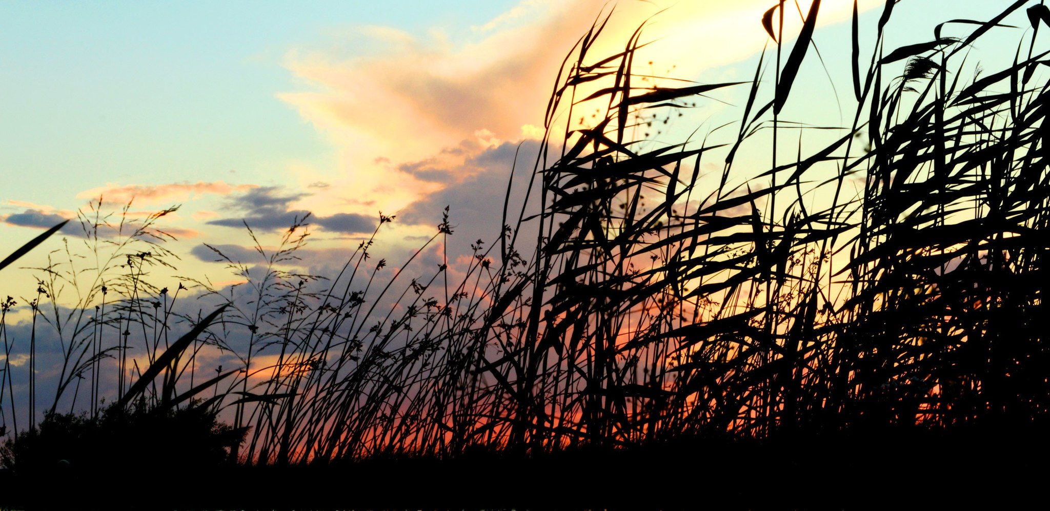 Sunset on the lake - My, Summer, Lake, Sunset