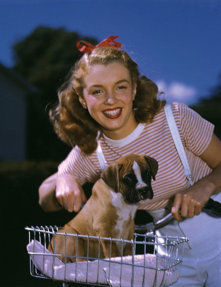 Великолепная Мэрилин (Норма Джин) с щенком | Пикабу