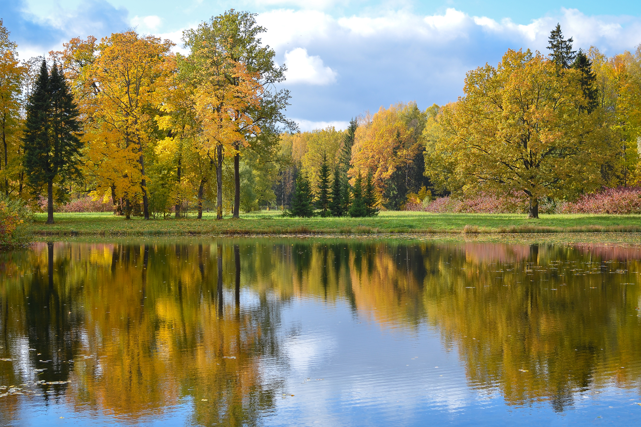 Photo with reflection - My, Reflection, Autumn, Landscape, Nature, Nikon, Nokia, Longpost