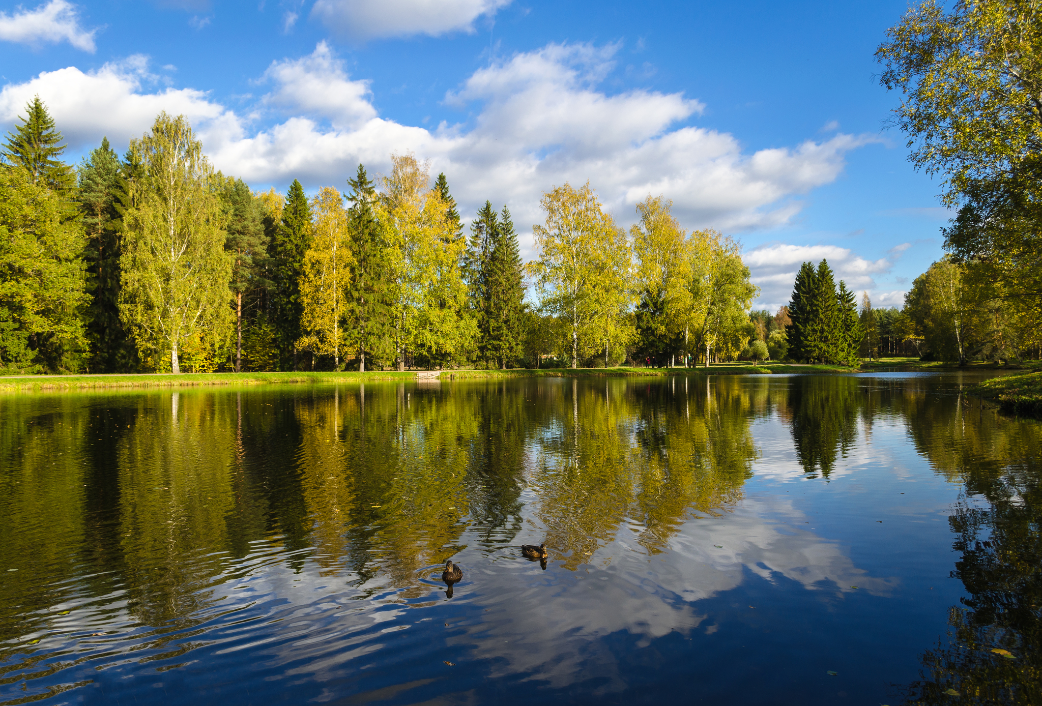 Photo with reflection - My, Reflection, Autumn, Landscape, Nature, Nikon, Nokia, Longpost