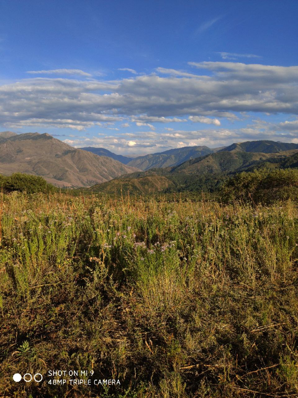 Mountains - My, Almaty mountains, Turgen, beauty of nature, Kazakhstan, Nature, Longpost